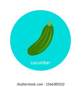 Vector cucumber icon isolated on white background.  Flat blue circle icon with vegetable. Healthy food. 