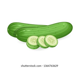 vector cucumber illustration on white background with slices