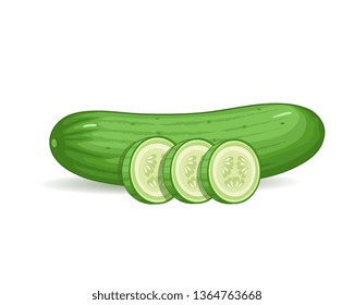 vector cucumber illustration on white background with slices