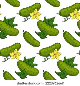 Vector cucumber pattern. Vegetable colored pattern. Detailed cucumbers drawing. Farm market product.