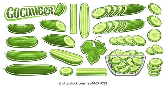 Vector Cucumber Set, collection of cut out cartoon design vegetarian still life compositions, farmer juicy cucumbers in glass dish, set of various whole veggies and text cucumber on white background