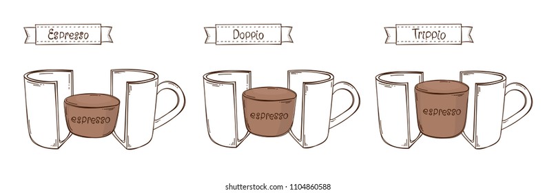 Vector cup of Espresso, Doppio, Tripio. Infographicof coffee in a cut. White background