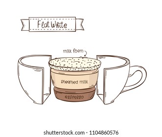 Vector cup of Flat White. Coffee Infographic cup in a cut. White background