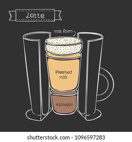 Vector cup of Latte. Infographic of coffee in a cut