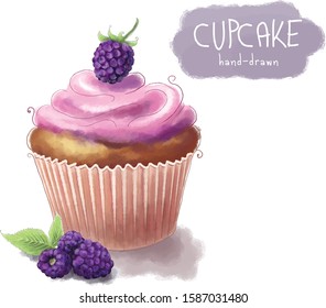 Vector Cupcake with blackberry cream and berries, hand drawn