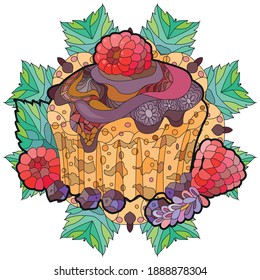 Vector cupcake with chocolate and raspberry for decoration