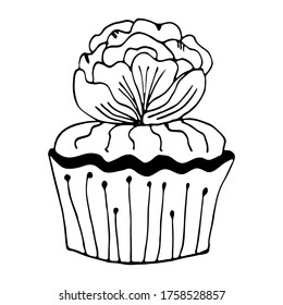 Vector cupcake illustration with flora. Hand drawing food doodle on white background. Line art for bakery logo, wedding invitation, print design.