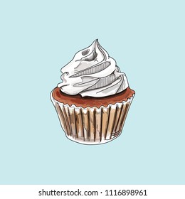 vector cupcake muffin 