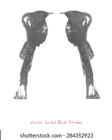 Vector curled brush strokes or stains with grunge texture looking like two silhouettes of birds in positive space and a silhouette of a human in negative space