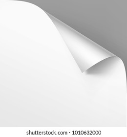 Vector Curled corner of White paper with shadow Mock up Close up Isolated on Gray Background