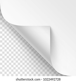 Vector Curled corner of White paper with shadow Mock up Close up Isolated on Transparent Background