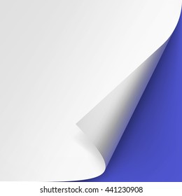 Vector Curled corner of White paper with shadow Mock up Close up Isolated on Blue Background