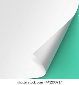 Vector Curled corner of White paper with shadow Mock up Close up Isolated on Light Green Mint Background