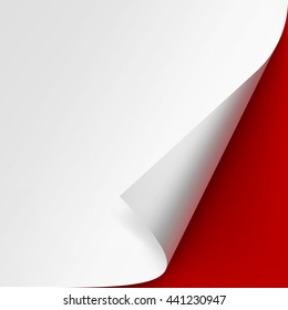 Vector Curled corner of White paper with shadow Mock up Close up Isolated on Red Background