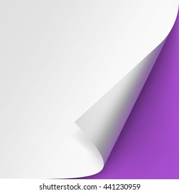 Vector Curled corner of White paper with shadow Mock up Close up Isolated on Violet Purple Lilac Background