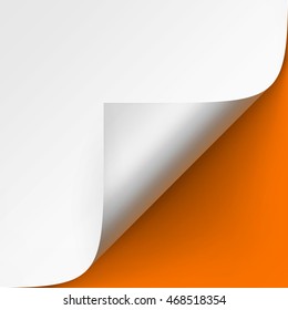 Vector Curled corner of White paper with shadow Mock up Close up Isolated on Orange Background