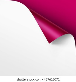 Vector Curled corner of White paper with shadow Mock up Close up Isolated on Bright Pink Magenta Background