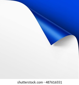 Vector Curled corner of White paper with shadow Mock up Close up Isolated on Bright Blue Background