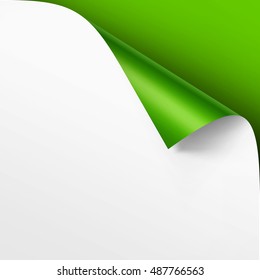 Vector Curled corner of White paper with shadow Mock up Close up Isolated on Bright Green Background