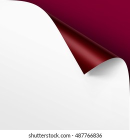 Vector Curled corner of White paper with shadow Mock up Close up Isolated on Vinous Background
