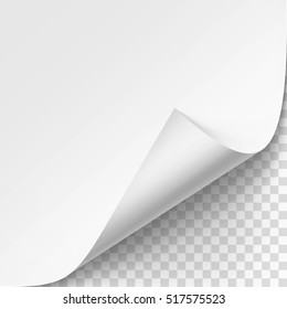 Vector Curled corner of White paper with shadow Mock up Close up Isolated on Transparent Background