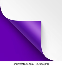 Vector Curled corner of White paper with shadow Mock up Close up Isolated on Bright Violet Background