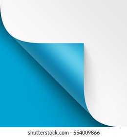 Vector Curled corner of White paper with shadow Mock up Close up Isolated on Bright Blue Background