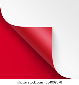 Vector Curled corner of White paper with shadow Mock up Close up Isolated on Bright Red Scarlet Background