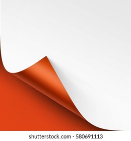 Vector Curled corner of White paper with shadow Mock up Close up Isolated on Bright Orange Background