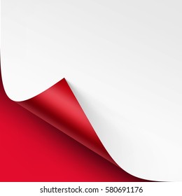 Vector Curled corner of White paper with shadow Mock up Close up Isolated on Bright Red Scarlet Background