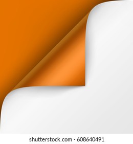 Vector Curled corner of White paper with shadow Mock up Close up Isolated on Bright Orange Background