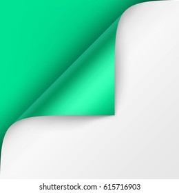 Vector Curled corner of White paper with shadow Mock up Close up Isolated on Bright Green Mint Background