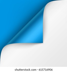 Vector Curled corner of White paper with shadow Mock up Close up Isolated on Bright Blue Background