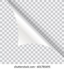 Vector curled glossy page corners isolated on transparent background.Vector illustration for your design and business
