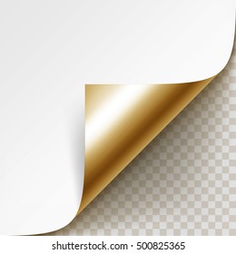Vector Curled Golden Corner of White Paper with Shadow Mock up Close Isolated on Transparent Background