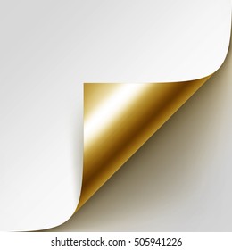 Vector Curled Golden Corner of White Paper with Shadow Mock up Close up Isolated on White Background
