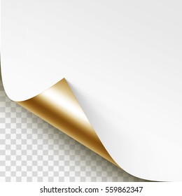 Vector Curled Golden Corner of White Paper with Shadow Mock up Close up Isolated on Transparent Background