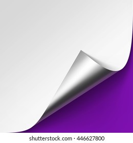 Vector Curled Metalic Silver corner of White paper with shadow Mock up Close Isolated on Violet Purple Lilac Background