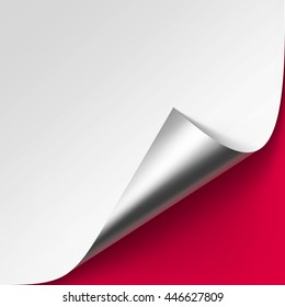 Vector Curled Metalic Silver corner of White paper with shadow Mock up Close Isolated on Red Background