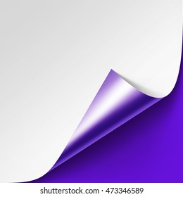 Vector Curled Metalic Silver corner of White paper with shadow Mock up Close up Isolated on Violet Purple Lilac Background