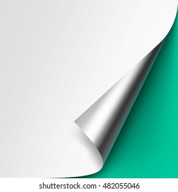 Vector Curled Metalic Silver corner of White paper with shadow Mock up Close up Isolated on Light Green Mint Background