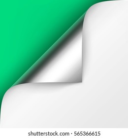 Vector Curled Metalic Silver corner of White paper with shadow Mock up Close up Isolated on Green Background