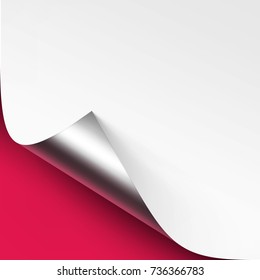 Vector Curled Metalic Silver corner of White paper with shadow Mock up Close up Isolated on Bright Pink Background