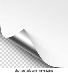 Vector Curled Silver Metalic Corner of White Paper with Shadow Mock up Close up Isolated on Transparent Background