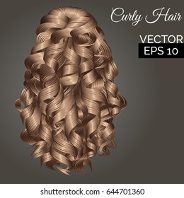 Vector curly hair. Back view of beautiful long curly blond hair isolated on grey background