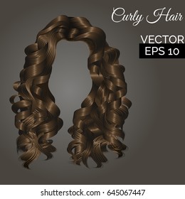 Vector curly hair. Beautiful long brown hair isolated on grey background