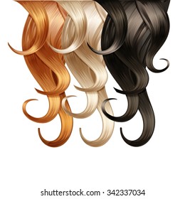 Vector Curly Hair Palette Isolated on White Background