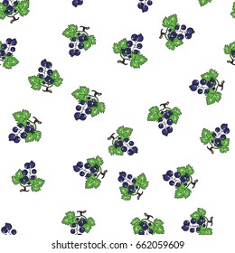 Vector currant seamless pattern. Hand drawn fruit illustration for backgrounds, texture, food packaging design