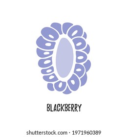 Vector. Cut blackberry fruit. Isolated modern sweet berry. Graphic drawing icon, pictogram. Vegetarian hand draw plant