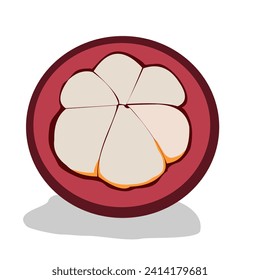 Vector cut mangosteen fruit, isolated white